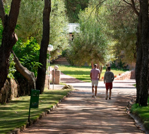 Facultad de Ciencias de la Vida y de la Naturaleza