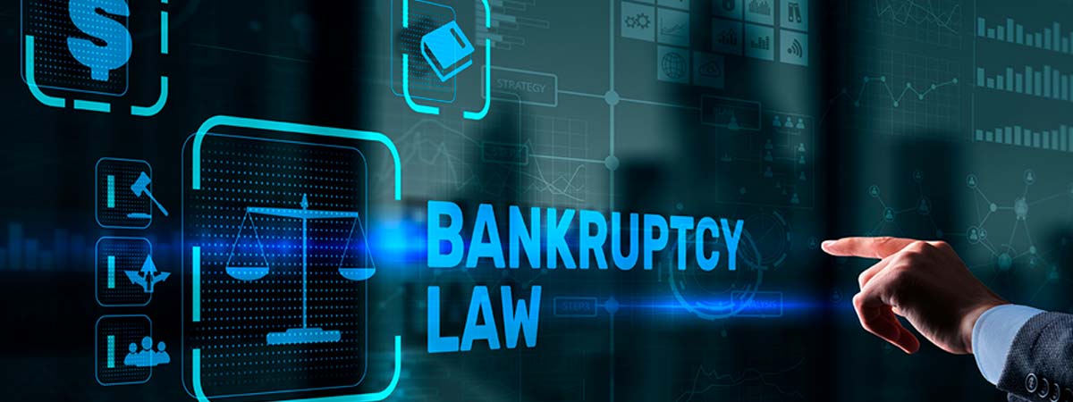 University Specialist in Bankruptcy Law