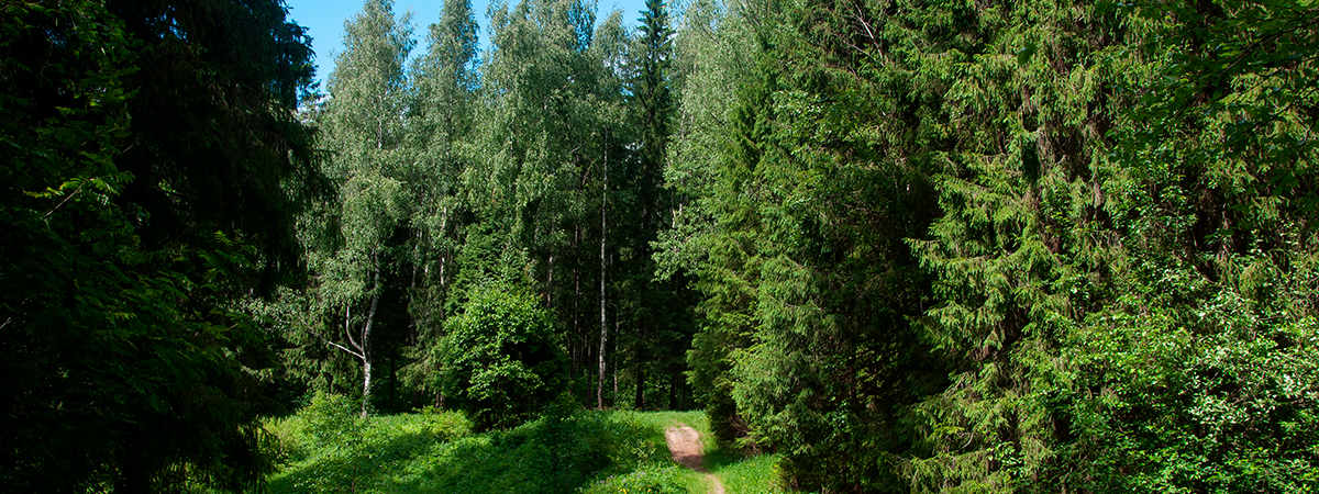 Seminario en Usos y abusos de la Naturaleza Humana. Ciencia, Tecnología e Ideología 