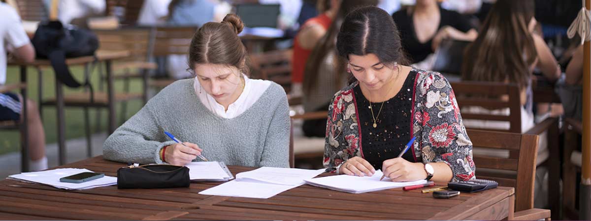 Grado en Educación Infantil