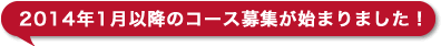 2014年度スペイン語コース