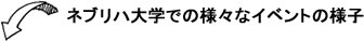 ネブリハ大学での様々なイベントの様子
